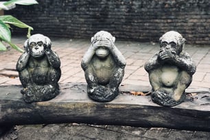 Diese 3 Fehler sollten Sie bei der Abfrage von Ideen vermeiden