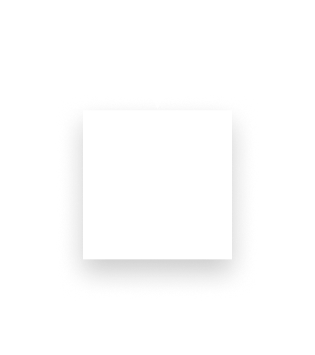 5 - execute (1)