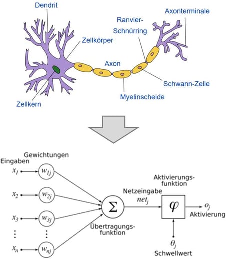 Blog-17-1_KI-u-IdM_Neuronale-Netze_2020-08-27