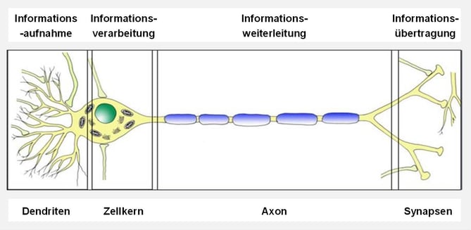 Blog-31-3_Informationsübertragung_2021-03-15