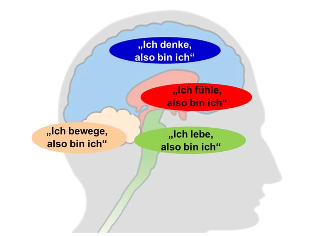 Blog-34-2_Gehirn-WG_2021-04-28
