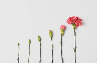 KVP Kontinuierlicher Verbesserungsprozess - Kleine Schritte mit großer Wirkung