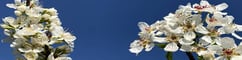 Kennzahlenvergleich Ideenmanagement 2019 – Ergebnisse