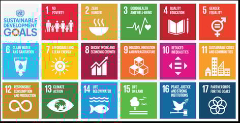 Interview mit Sandra Fernholz, Head of Social Impact & Sustainability