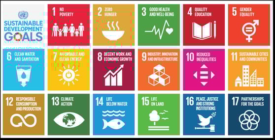 Interview mit Sandra Fernholz, Head of Social Impact & Sustainability
