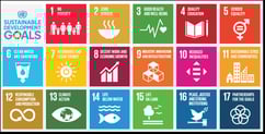 Interview mit Sandra Fernholz, Head of Social Impact & Sustainability