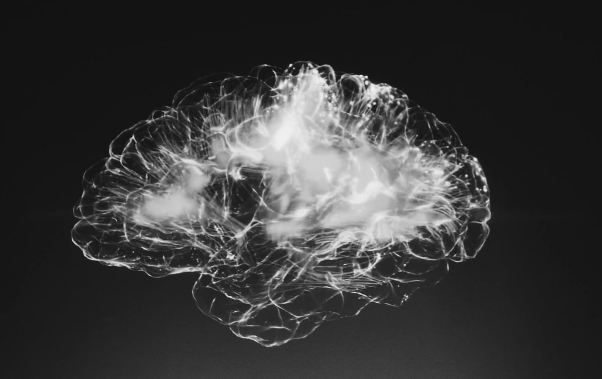 <span id="hs_cos_wrapper_name" class="hs_cos_wrapper hs_cos_wrapper_meta_field hs_cos_wrapper_type_text" style="" data-hs-cos-general-type="meta_field" data-hs-cos-type="text" >Neuroideenmanagement 2 – das Gehirn als Sozialorgan</span>