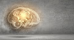 Neuroideenmanagement 3 – das Gehirn als Lustsucher
