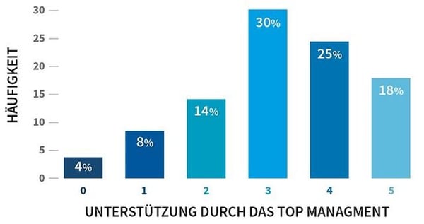 Unterstützung durch das Top Management