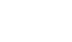 White ICON Logo