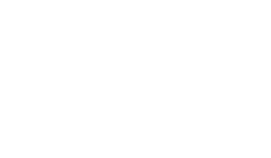 White Nokia Logo